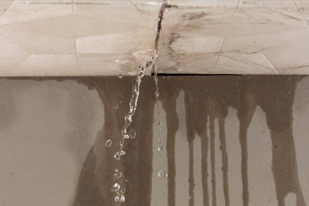 Professional Flood Damage Cleanup technician working in Van, TX